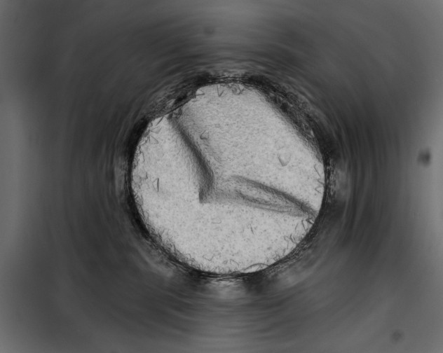 X0000099950283200806201321