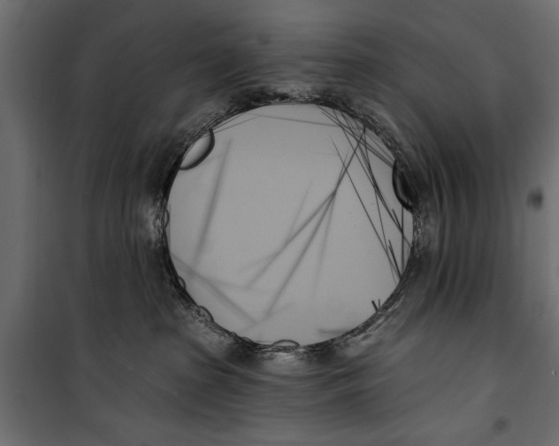 X0000099950285200806201321
