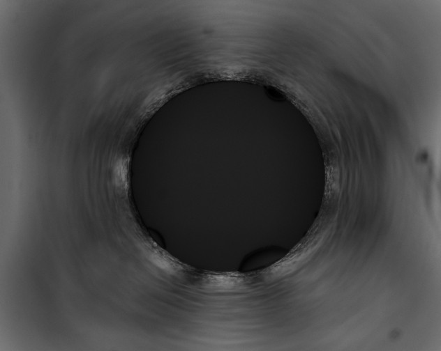 X0000099950286200806201321
