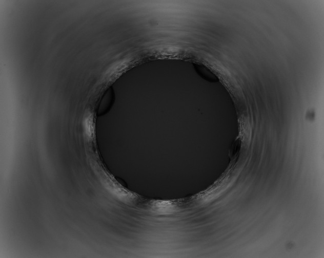 X0000099950287200806201321