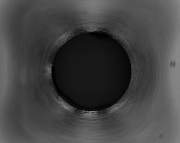 X0000099950288200806201321