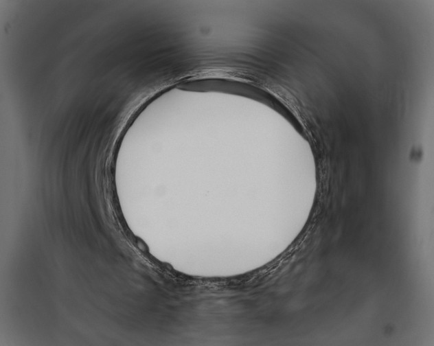 X0000099950289200806201320
