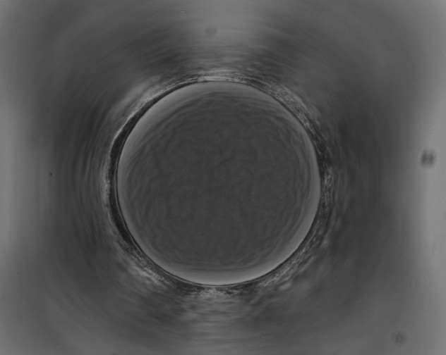 X0000099950290200806201320