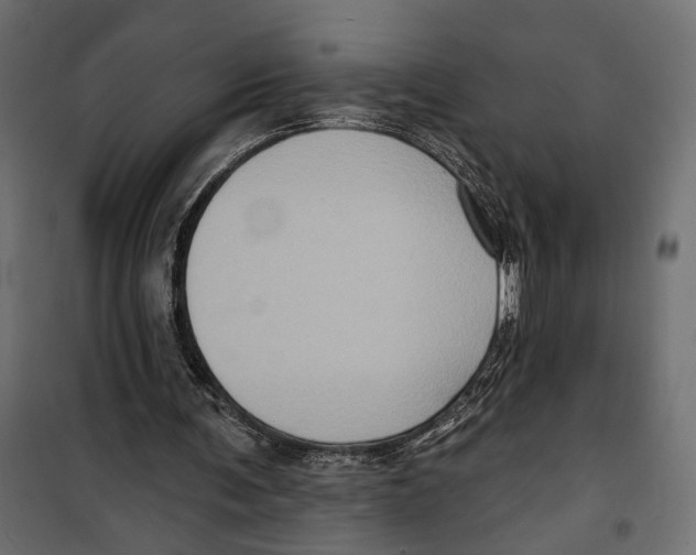 X0000099950291200806201320