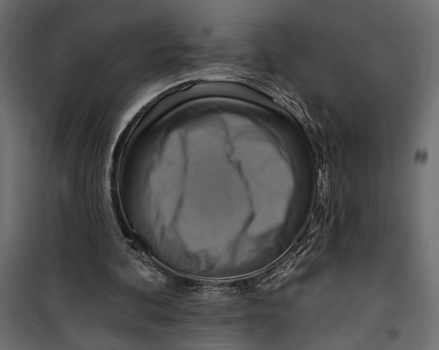 X0000099950292200806201320
