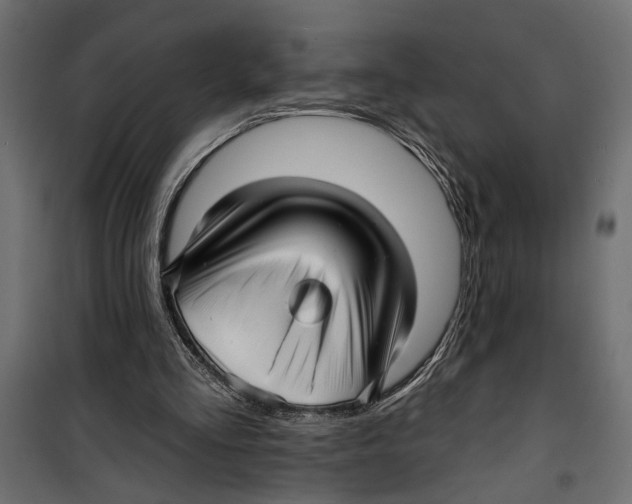 X0000099950293200806201320