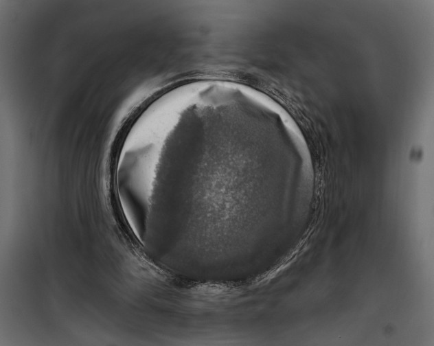 X0000099950294200806201320