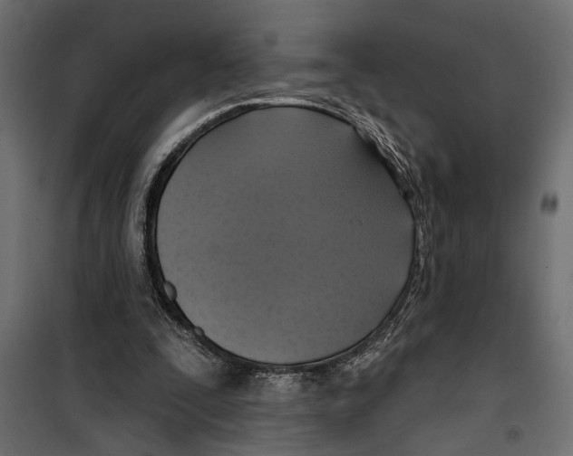 X0000099950295200806201320
