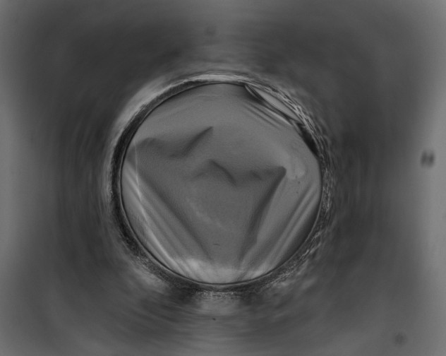 X0000099950296200806201320