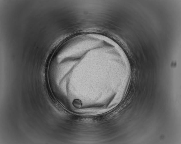 X0000099950298200806201320