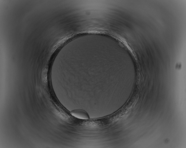 X0000099950299200806201320