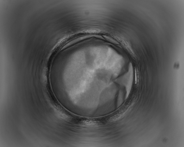X0000099950300200806201320