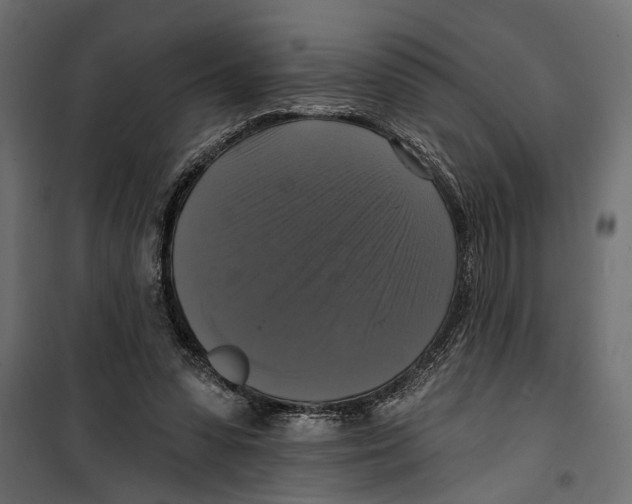 X0000099950303200806201320
