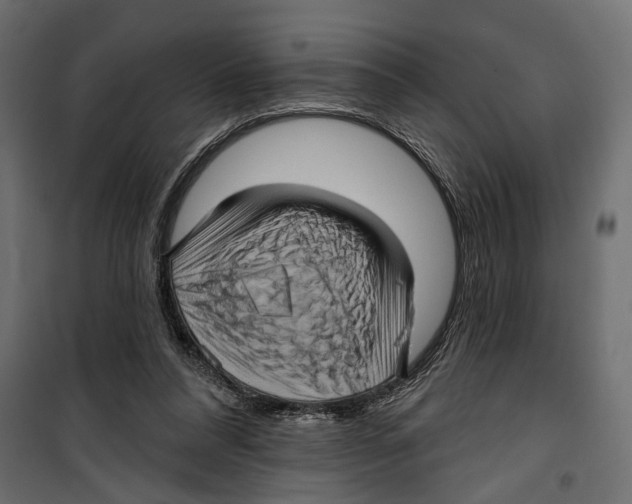 X0000099950304200806201320