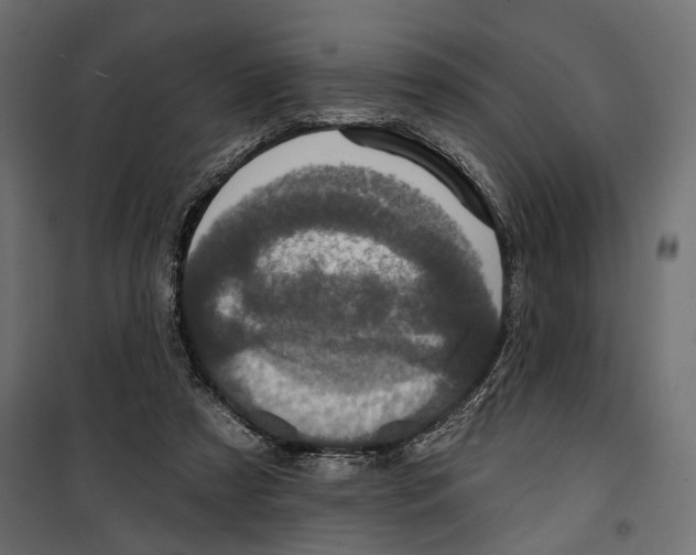 X0000099950305200806201320