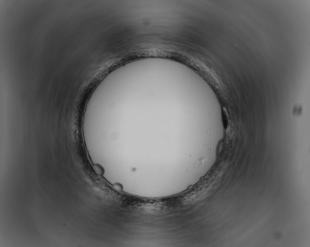 X0000099950306200806201319