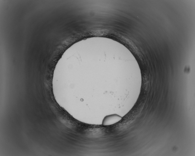 X0000099950307200806201319