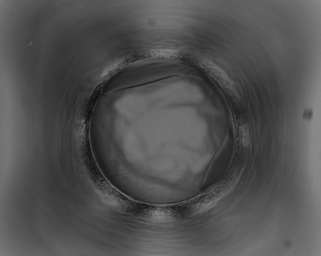X0000099950308200806201319