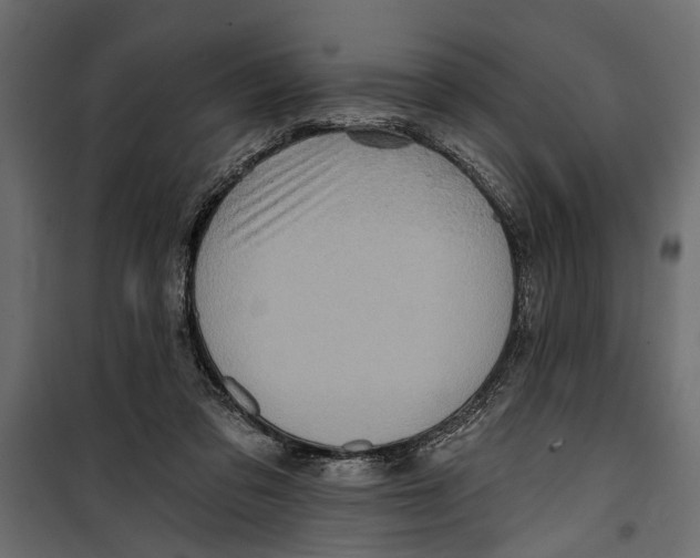 X0000099950309200806201319