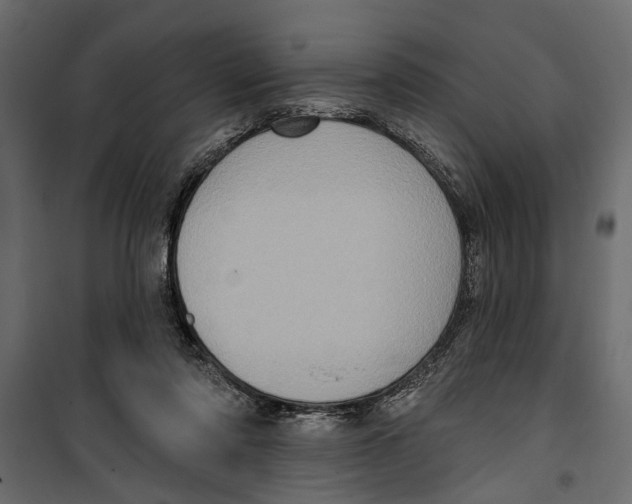 X0000099950310200806201319