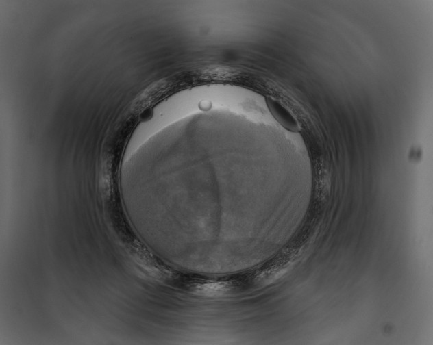 X0000099950312200806201319