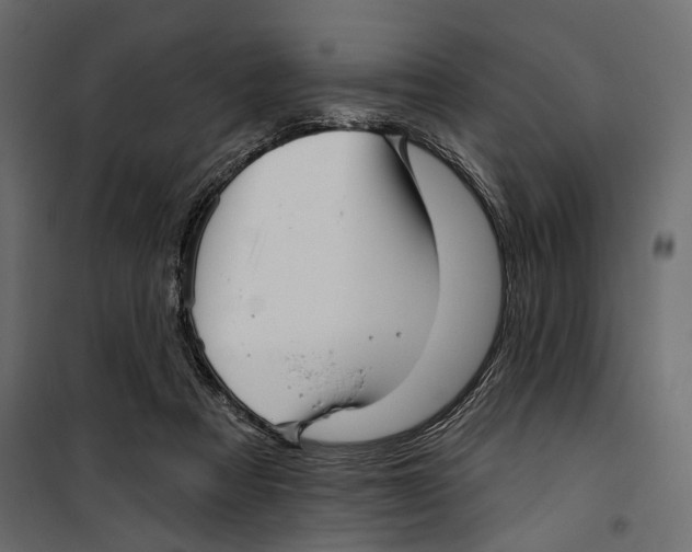X0000099950313200806201319