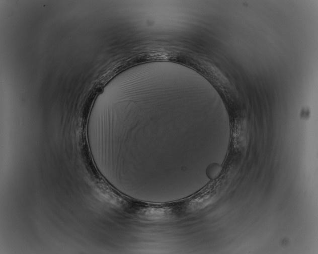 X0000099950314200806201319