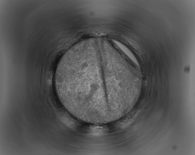 X0000099950315200806201319