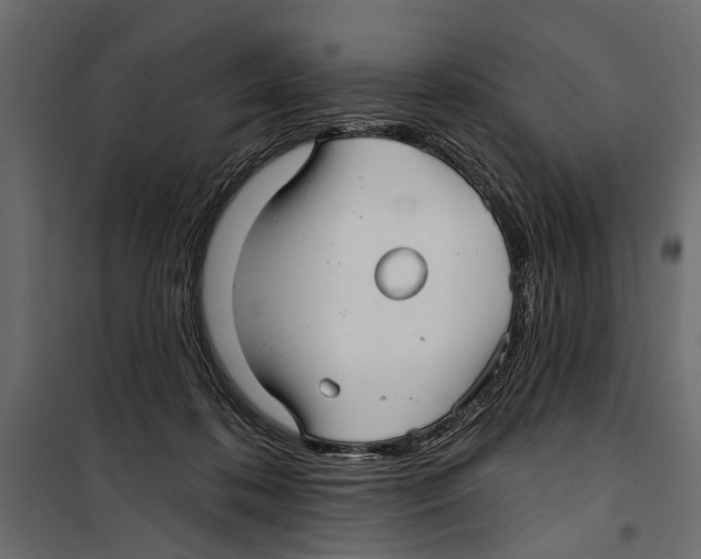 X0000099950316200806201319