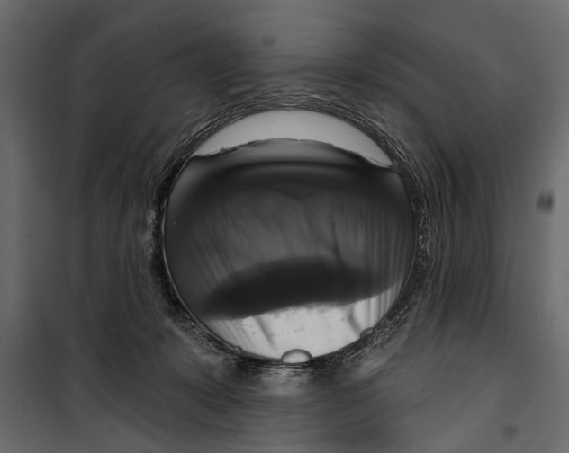 X0000099950319200806201319