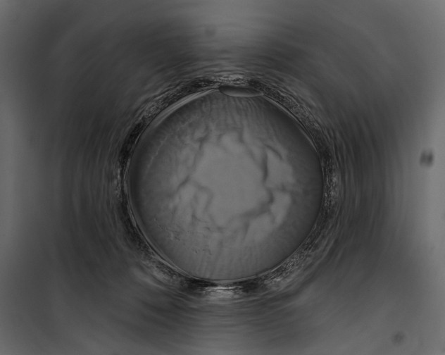 X0000099950320200806201319