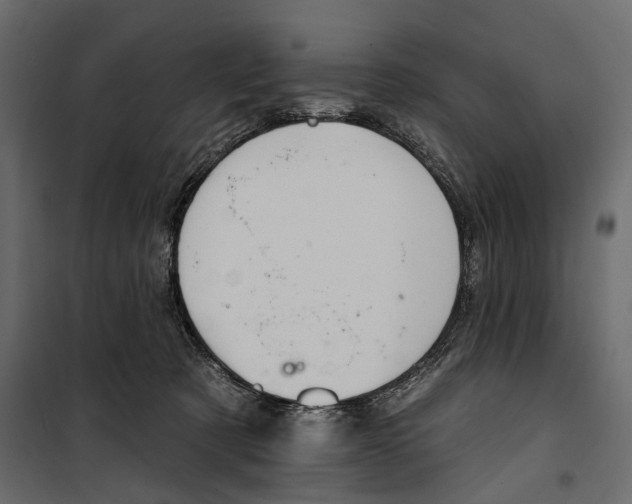 X0000099950321200806201319