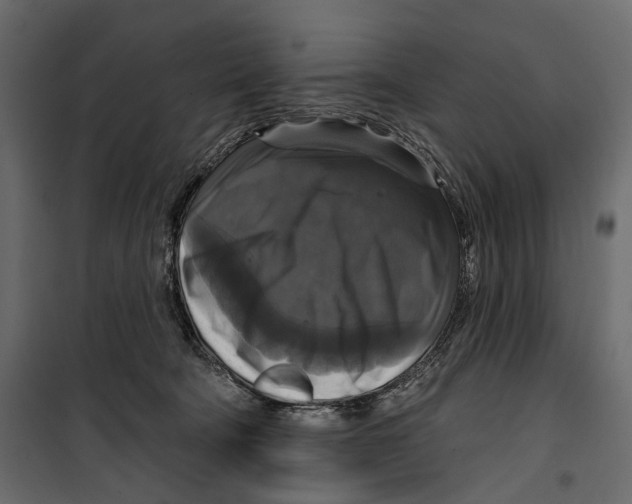 X0000099950322200806201319