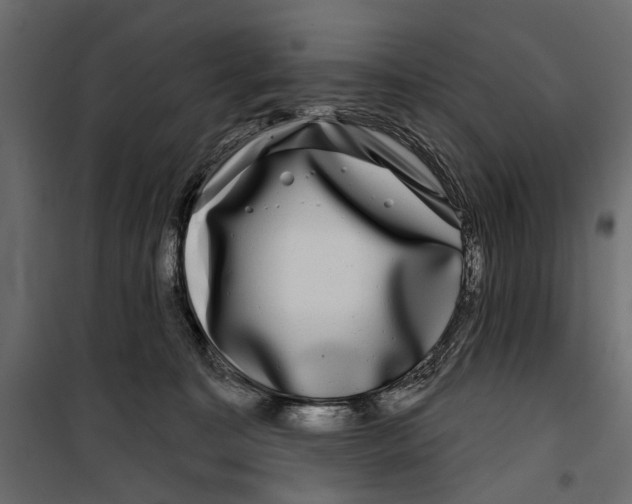 X0000099950323200806201319