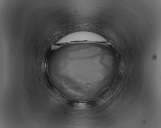 X0000099950324200806201319
