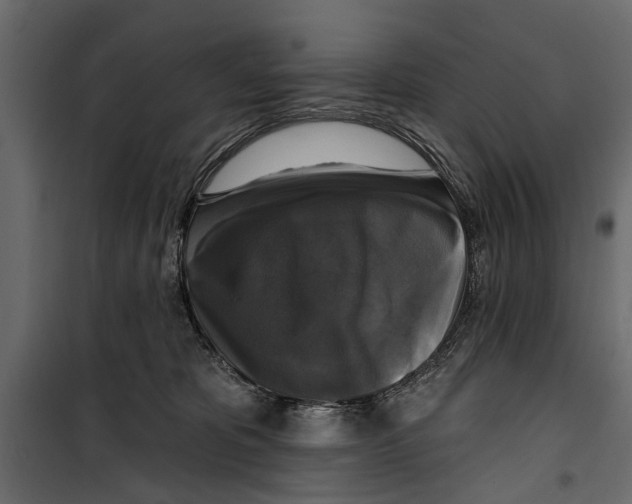 X0000099950325200806201319