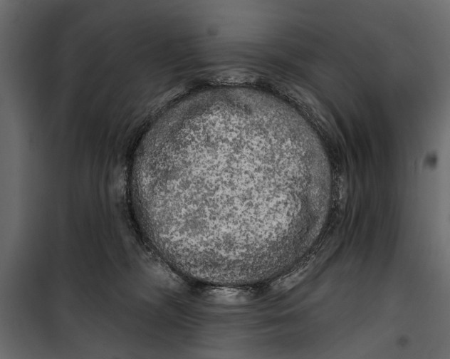 X0000099950326200806201319