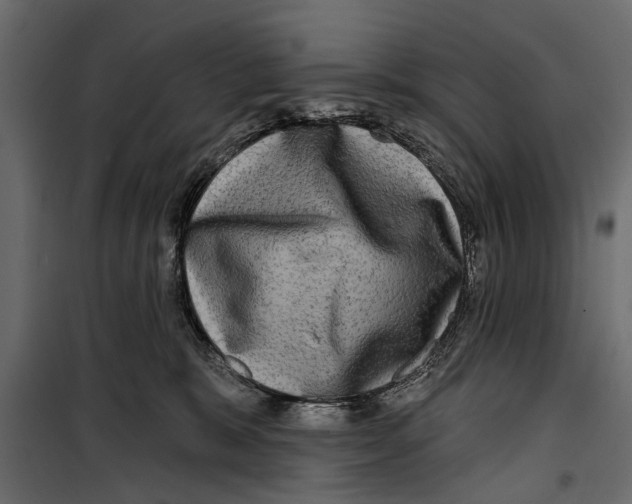 X0000099950327200806201319