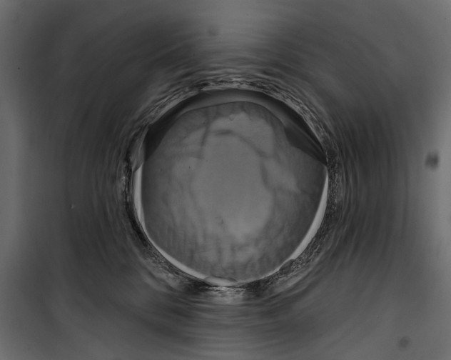 X0000099950328200806201319