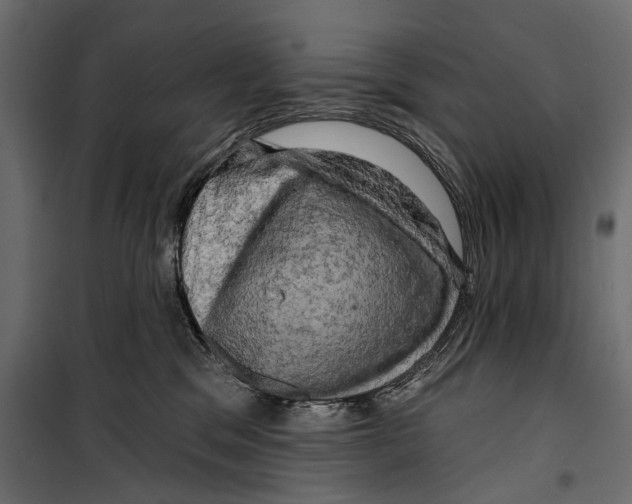 X0000099950329200806201319