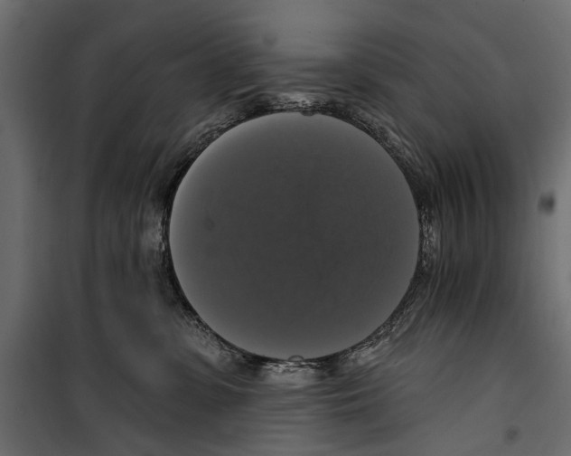 X0000099950331200806201319