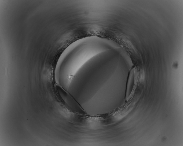 X0000099950332200806201319