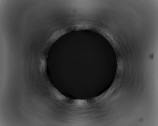 X0000099950333200806201319