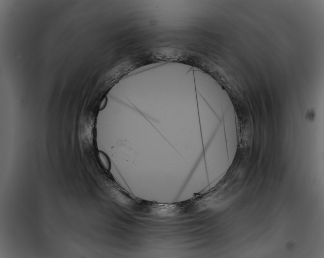 X0000099950334200806201319