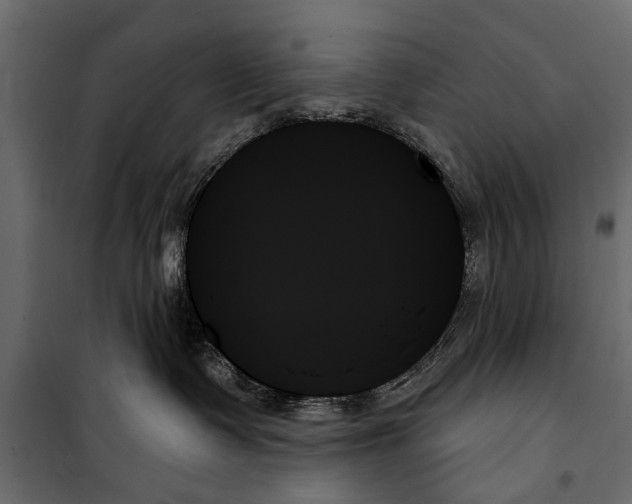 X0000099950335200806201319