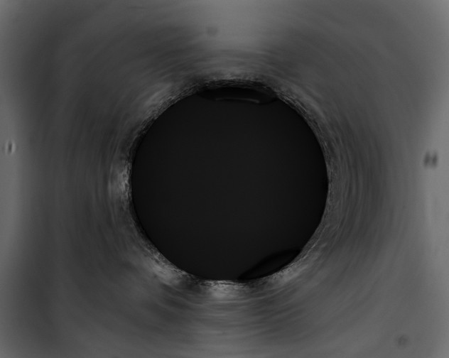 X0000099950336200806201319
