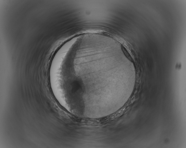X0000099950337200806201318