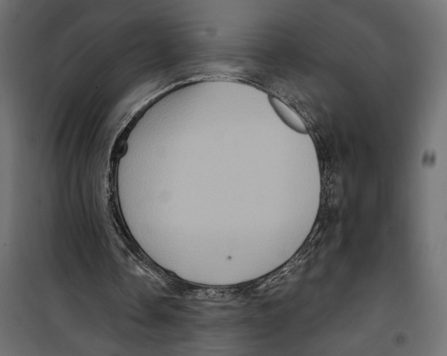 X0000099950338200806201318