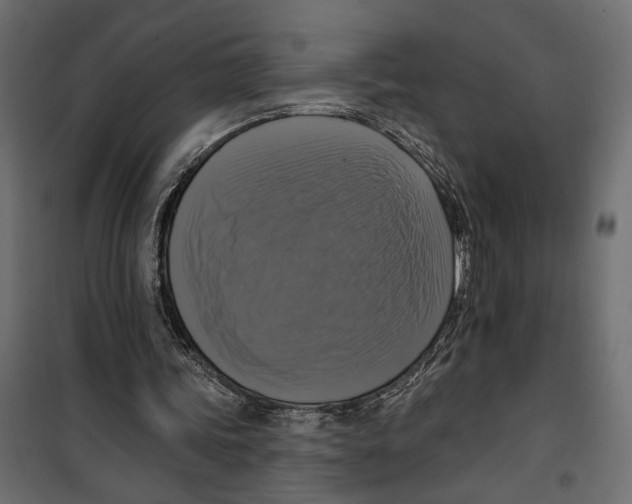 X0000099950339200806201318