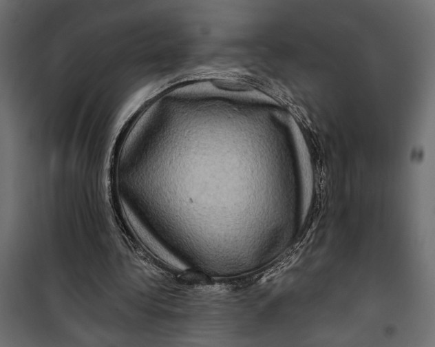 X0000099950340200806201318
